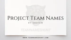 Project Team Names