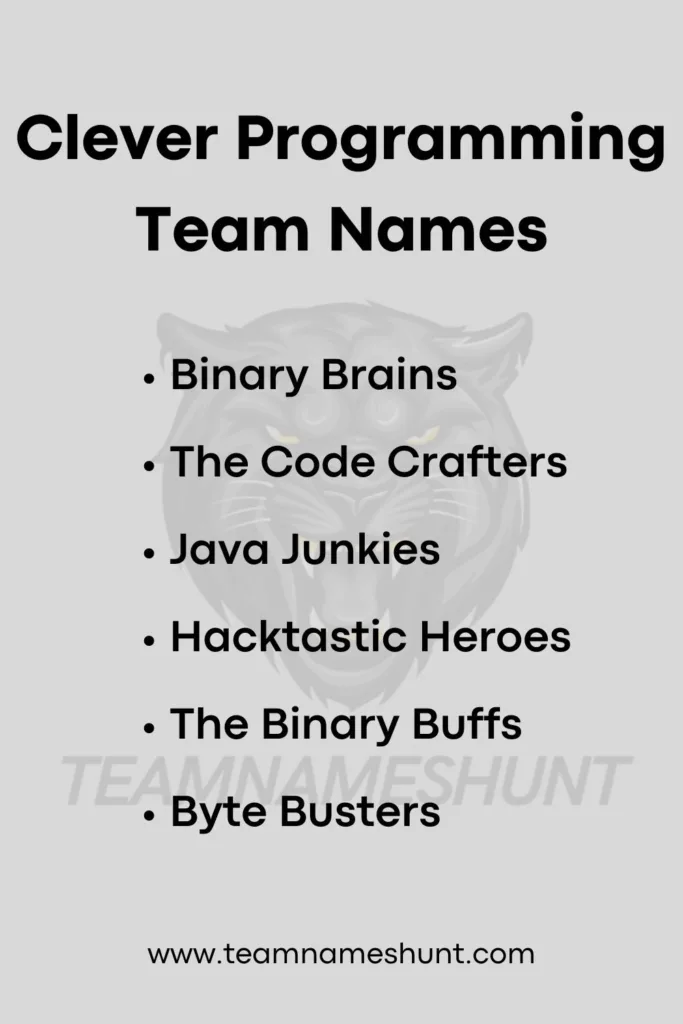 Clever Programming Team Names