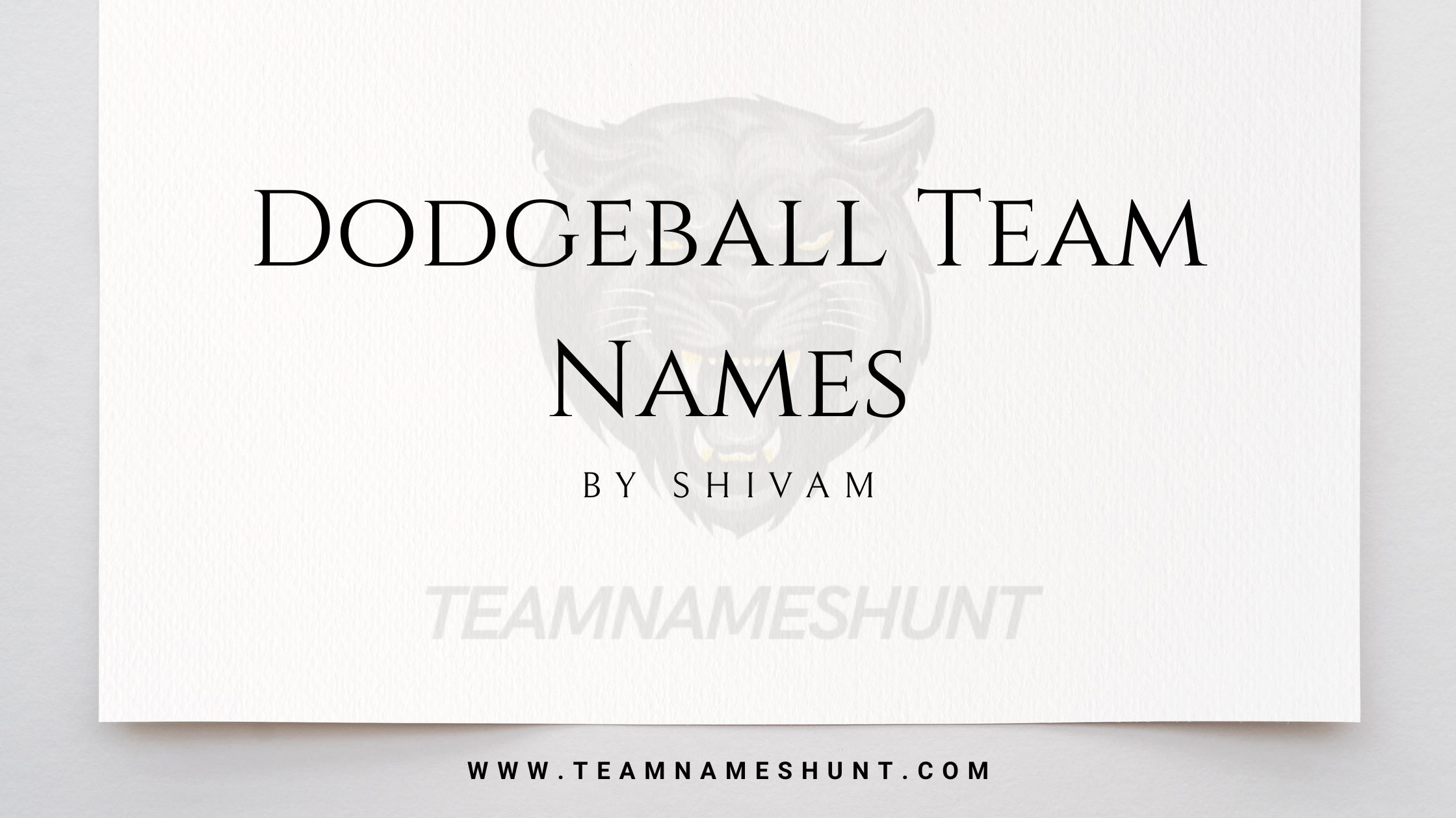 Dodgeball Team Names