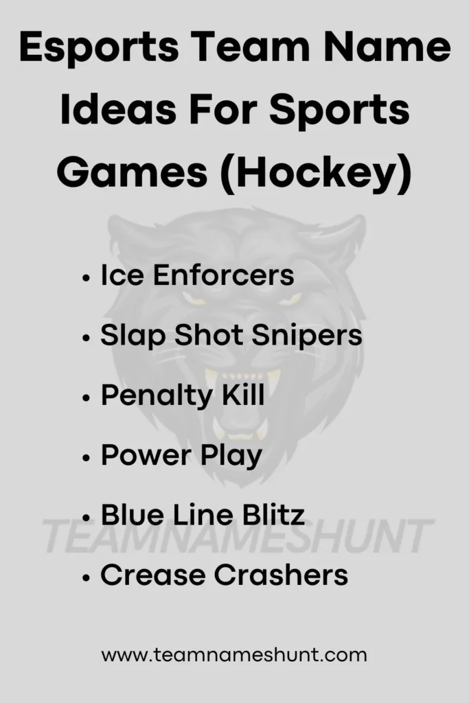 Esports Team Name Ideas For Sports Games (Hockey)