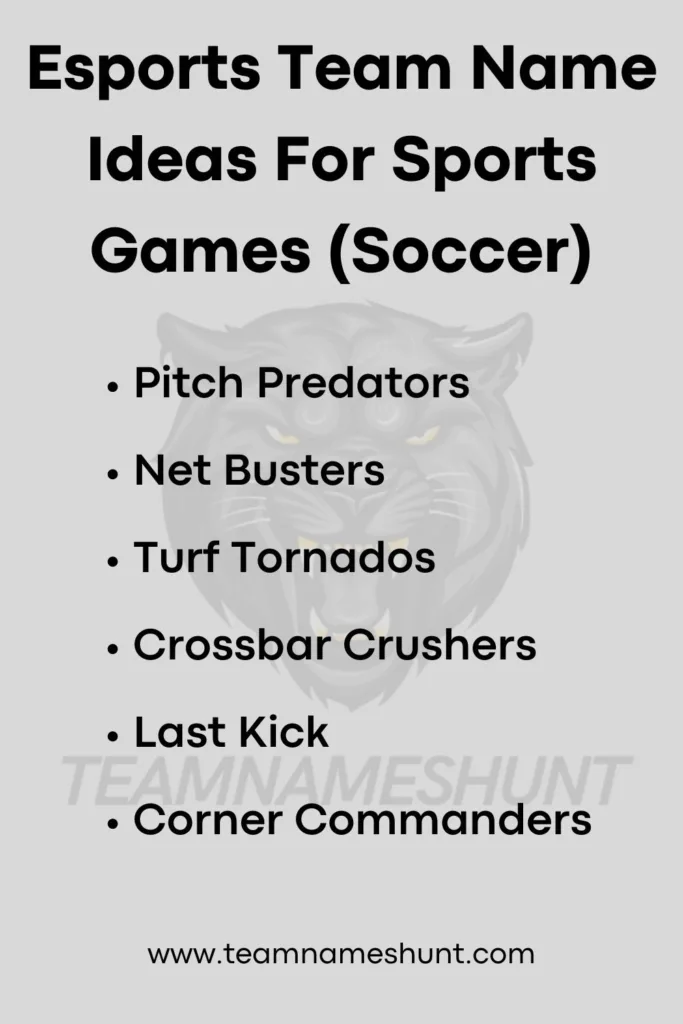 Esports Team Name Ideas For Sports Games (Soccer)