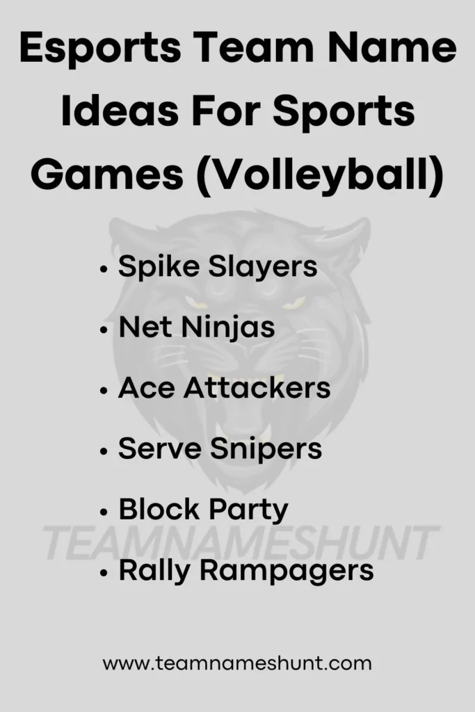 Esports Team Name Ideas For Sports Games (Volleyball)