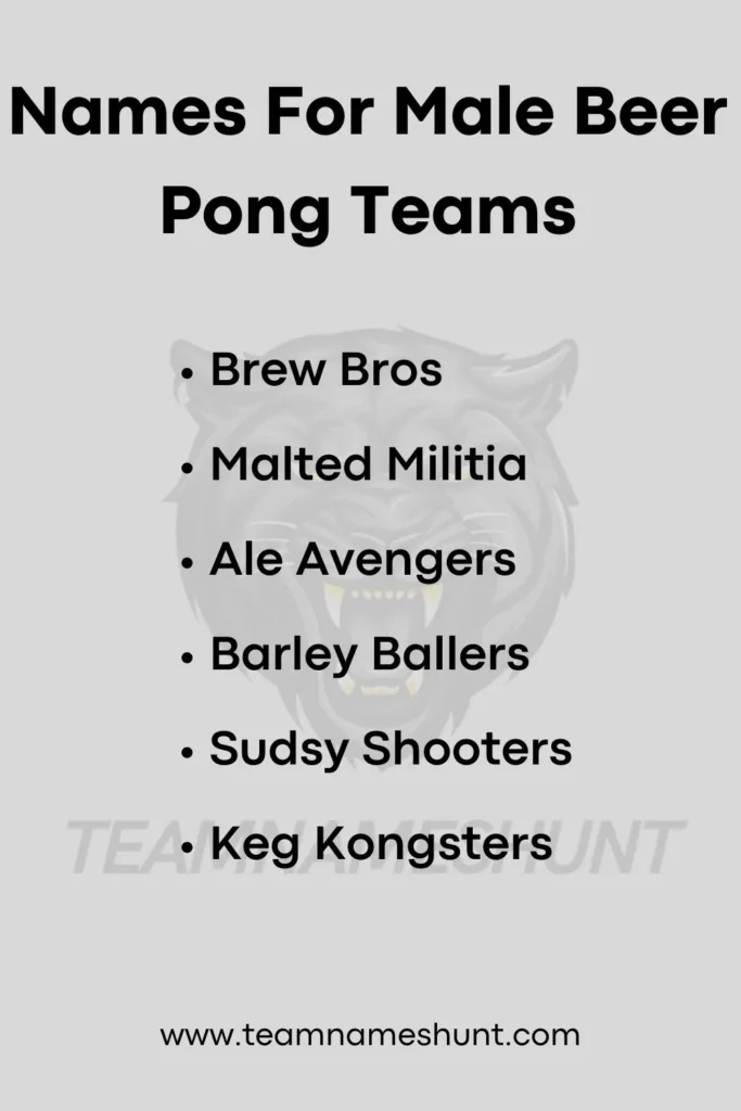 Names For Male Beer Pong Teams