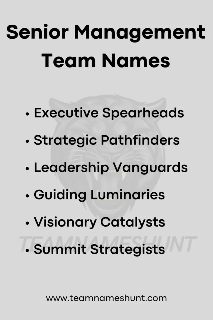 Senior Management Team Names